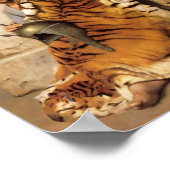 Pelt Händler von Kairo Canvas Print Poster (Ecke)