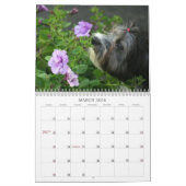 Peluito Havanese . 2011 Kalender (Mär 2026)