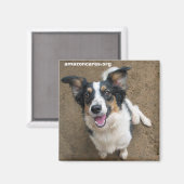 Pelusa Magnet (Vorderseite/Rückseite)