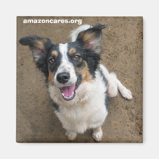 Pelusa Magnet (Vorne)