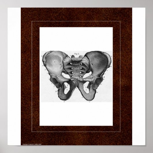 Pelvis Spirit House Poster (Vorne)