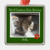 Pelz-Ever-Tiere Ornament Aus Metall (Vorne)