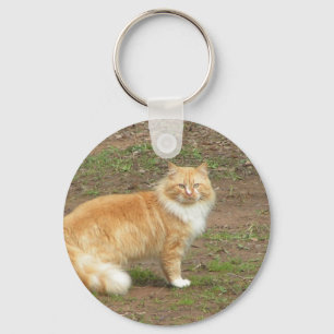 Pelzartige orange und weiße Katze Schlüsselanhänger