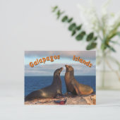 Pelze Siegel Postkarte (Stehend Vorderseite)