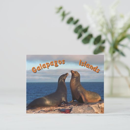 Pelze Siegel Postkarte (Stehend Vorderseite)