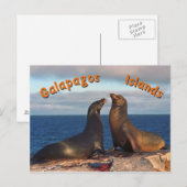 Pelze Siegel Postkarte (Vorne/Hinten)