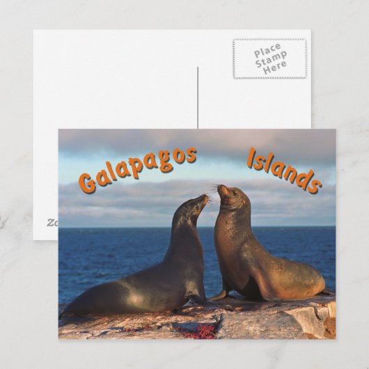 Pelze Siegel Postkarte (Vorne/Hinten)