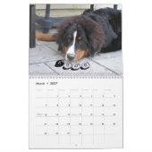 Pelzfamilie '09 kalender (Mär 2027)