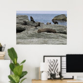 Pelzfamilie Poster (Heimbüro)