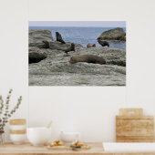 Pelzfamilie Poster (Küche)