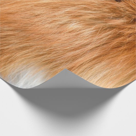 Pelzgewebe Geschenkpapier (Ecke)