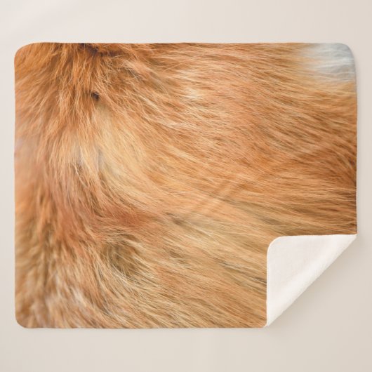 Pelzgewebe Sherpadecke (Vorderseite (Horizontal))