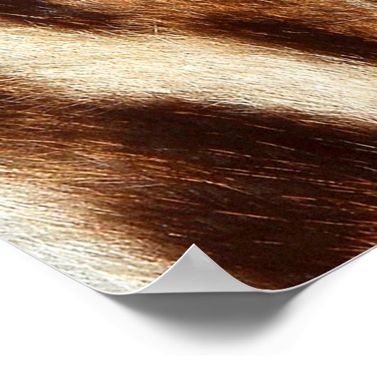 Pelzhintergrund Poster (Ecke)