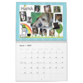 Pelzkalender des gesichts-2014 kalender (Mär 2027)