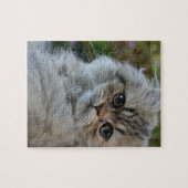 Pelzkatze Puzzle (Horizontal)