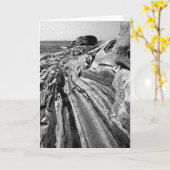 Pemaquid Felsen Karte (Gelbe Blume)