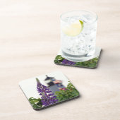 Pemaquid Lupin Getränkeuntersetzer (Rechte Seite)