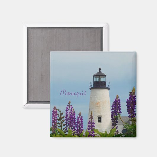 Pemaquid Point Light Bristol Maine Lighthouse Magnet (Vorderseite/Rückseite)