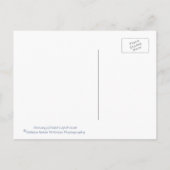 Pemaquid Point Lighthouse in Maine Postkarte (Rückseite)