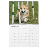 Pembroke-Walisercorgi-Agility-Kalender 2012 Kalender (Jan 2027)