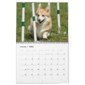 Pembroke-Walisercorgi-Agility-Kalender 2012 Kalender (Jan 2026)