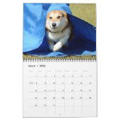 Pembroke-Walisercorgi-Agility-Kalender 2012 Kalender (Mär 2026)