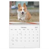 Pembroke-Walisercorgi-Agility-Kalender Kalender (Feb 2027)