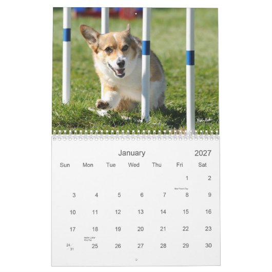 Pembroke-Walisercorgi-Agility-Kalender Kalender (Jan 2027)