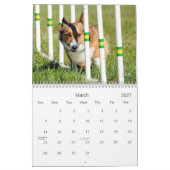 Pembroke-Walisercorgi-Agility-Kalender Kalender (Mär 2027)
