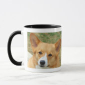 Pembroke-Walisercorgi-Foto-Tasse Tasse (Links)