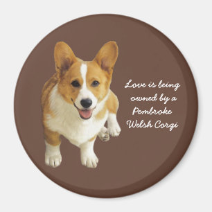 Pembroke-Walisercorgi-glücklicher Magnet