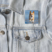 Pembroke-Walisercorgi-Hund, der auf den Strand Button (Beispiel)