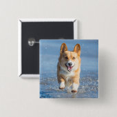 Pembroke-Walisercorgi-Hund, der auf den Strand Button (Vorne & Hinten)
