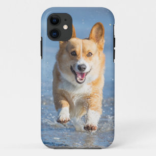 Pembroke-Walisercorgi-Hund, der auf den Strand Case-Mate iPhone Hülle
