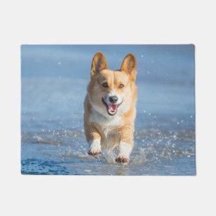 Pembroke-Walisercorgi-Hund, der auf den Strand Fußmatte