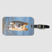 Pembroke-Walisercorgi-Hund, der auf den Strand Gepäckanhänger (Vorderseite (Horizontal))
