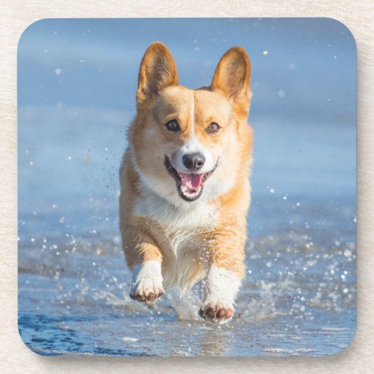 Pembroke-Walisercorgi-Hund, der auf den Strand Untersetzer (Vorderseite)