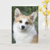 Pembroke-Walisercorgi-Karte Karte (Gelbe Blume)