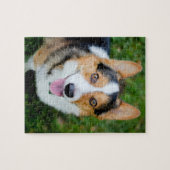 Pembroke-WaliserCorgi Puzzle (Horizontal)