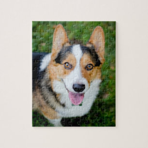 Pembroke-WaliserCorgi Puzzle