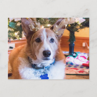 Pembroke-Walisercorgi-Weihnachten Feiertagspostkarte