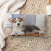 Pembroke-Walisercorgi-Welpe Lendenkissen (Decke)