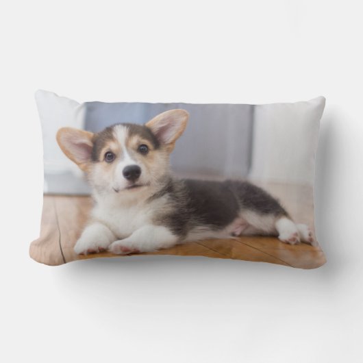 Pembroke-Walisercorgi-Welpe Lendenkissen (Vorderseite)