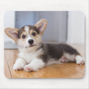 Pembroke-Walisercorgi-Welpe Mousepad