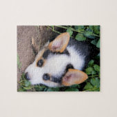 Pembroke-Walisercorgi-Welpe Puzzle (Horizontal)