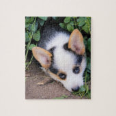 Pembroke-Walisercorgi-Welpe Puzzle (Vertikal)