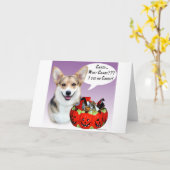 Pembroke Welsh Corgi Halloween Candy Karte (Gelbe Blume)