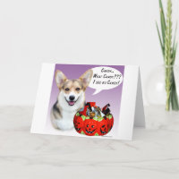 Pembroke Welsh Corgi Halloween Candy
