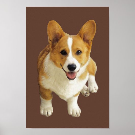 Pembroke Welsh Corgi Happy Print Poster (Vorne)