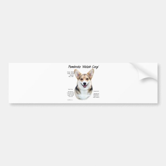 Pembroke Welsh Corgi History Design Autoaufkleber (Vorne)